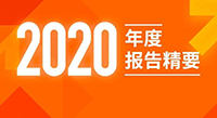 偉星新材2020年度報告精要