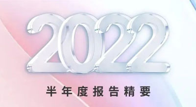 一張圖看懂偉星新材2022半年度報告