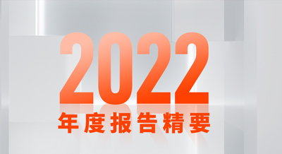 一張圖看懂偉星新材2022年度報告