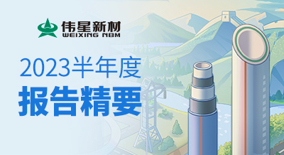 一張圖看懂偉星新材2023半年度報(bào)告