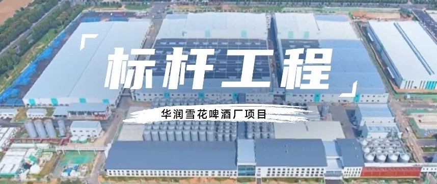 標(biāo)桿工程丨攜手雪花啤酒廠，偉星陪你勇闖天涯
