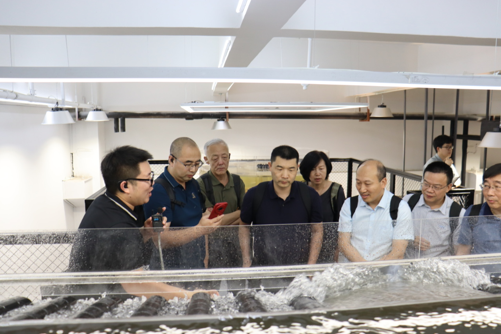 17183288368181513xOb.png image.png