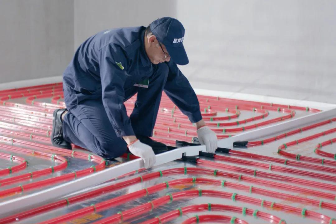 1763362919778213KJ3x.jpg 5.jpg